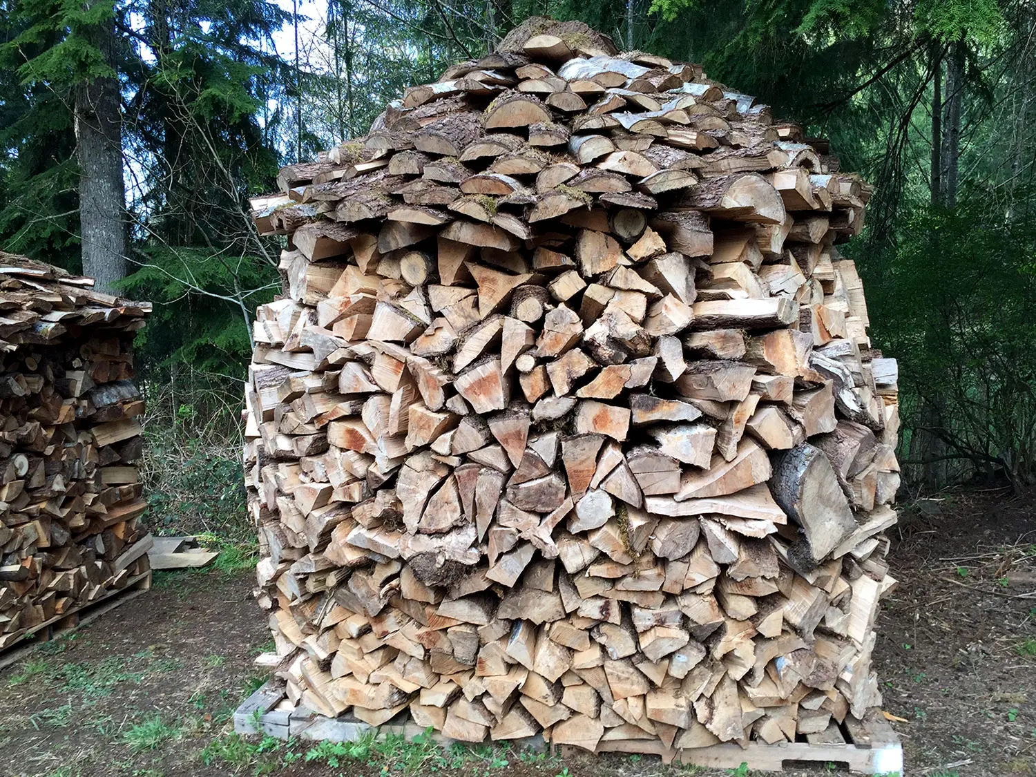 Holz Hausen Wood Pile