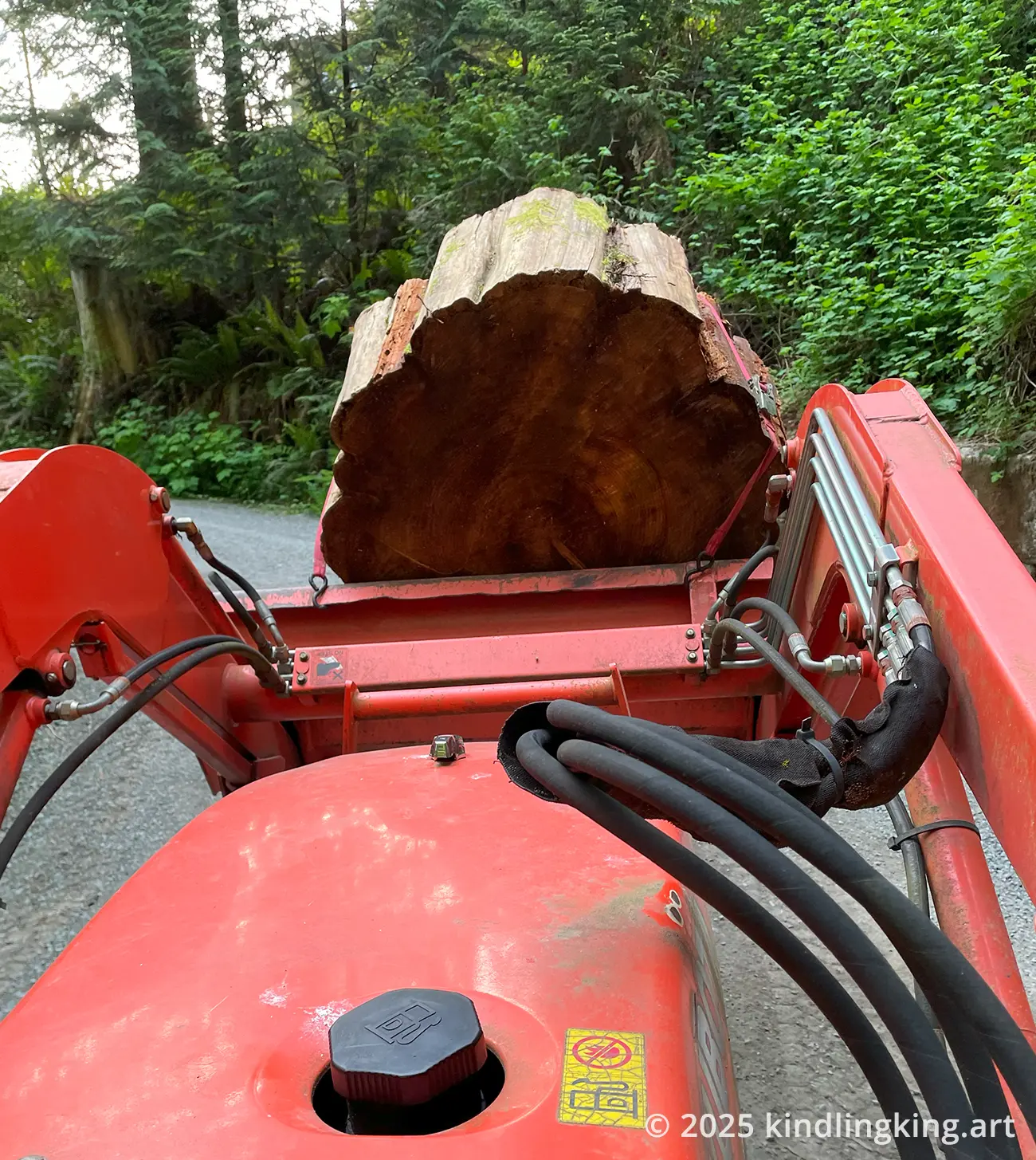 Large Cedar Round Log Being Hauled By Tractor
