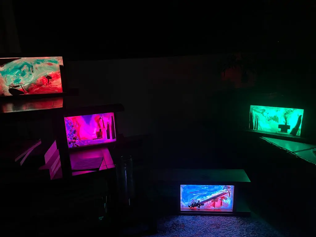 Lightboxes With Resin And Led Lights Handmade