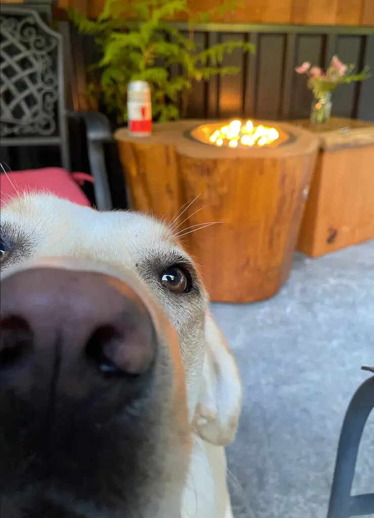 Gas Fire Table For Small Deck Or Patio
